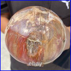 6.9lb Natural Petrified Wood Crystal Ball Fossil Polished Sphere Specimen 6.9lb Natural Petrified Wood Crystal Ball Fossil Polished Sphere Specimen