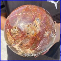 6.9lb Natural Petrified Wood Crystal Ball Fossil Polished Sphere Specimen 6.9lb Natural Petrified Wood Crystal Ball Fossil Polished Sphere Specimen