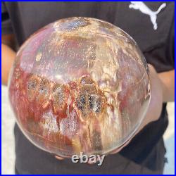 6.9lb Natural Petrified Wood Crystal Ball Fossil Polished Sphere Specimen 6.9lb Natural Petrified Wood Crystal Ball Fossil Polished Sphere Specimen
