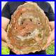 7026g_Large_Block_Natural_Petrified_Wood_Crystal_Fossil_Slice_Shape_Specimen_01_bpum