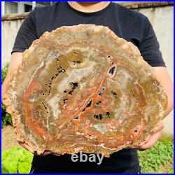 7026g Large Block Natural Petrified Wood Crystal Fossil Slice Shape Specimen 7026g Large Block Natural Petrified Wood Crystal Fossil Slice Shape Specimen