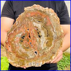 7026g Large Block Natural Petrified Wood Crystal Fossil Slice Shape Specimen 7026g Large Block Natural Petrified Wood Crystal Fossil Slice Shape Specimen