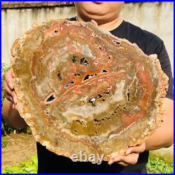 7026g Large Block Natural Petrified Wood Crystal Fossil Slice Shape Specimen 7026g Large Block Natural Petrified Wood Crystal Fossil Slice Shape Specimen