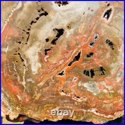 7026g Large Block Natural Petrified Wood Crystal Fossil Slice Shape Specimen 7026g Large Block Natural Petrified Wood Crystal Fossil Slice Shape Specimen