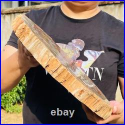 7026g Large Block Natural Petrified Wood Crystal Fossil Slice Shape Specimen 7026g Large Block Natural Petrified Wood Crystal Fossil Slice Shape Specimen