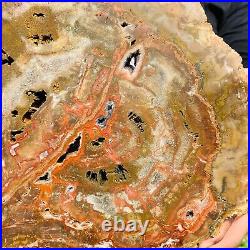 7026g Large Block Natural Petrified Wood Crystal Fossil Slice Shape Specimen 7026g Large Block Natural Petrified Wood Crystal Fossil Slice Shape Specimen