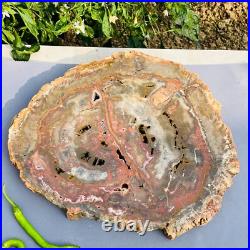 7026g Large Block Natural Petrified Wood Crystal Fossil Slice Shape Specimen 7026g Large Block Natural Petrified Wood Crystal Fossil Slice Shape Specimen