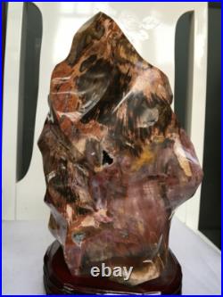 7070g Thread specimen of natural polished blood red petrified wood fossil+stand 7070g Thread specimen of natural polished blood red petrified wood fossil+stand