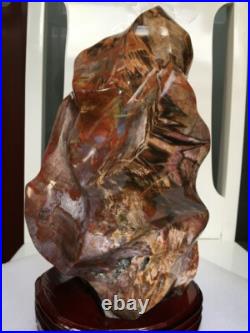 7070g Thread specimen of natural polished blood red petrified wood fossil+stand 7070g Thread specimen of natural polished blood red petrified wood fossil+stand