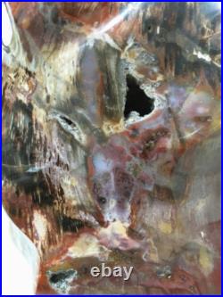 7070g Thread specimen of natural polished blood red petrified wood fossil+stand 7070g Thread specimen of natural polished blood red petrified wood fossil+stand