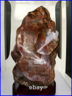 7070g Thread specimen of natural polished blood red petrified wood fossil+stand 7070g Thread specimen of natural polished blood red petrified wood fossil+stand