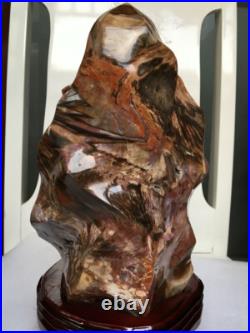 7070g Thread specimen of natural polished blood red petrified wood fossil+stand 7070g Thread specimen of natural polished blood red petrified wood fossil+stand