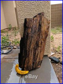 70lb Holbrook Arizona Petrified Wood Log 2ft Long! FREE SHIPPING
