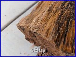 70lb Holbrook Arizona Petrified Wood Log 2ft Long! FREE SHIPPING