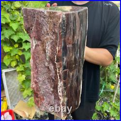 71lb Rare Natural petrified wood rough Wood fossil mineral specimen healing 71lb Rare Natural petrified wood rough Wood fossil mineral specimen healing