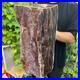 71lb_Rare_Natural_petrified_wood_rough_Wood_fossil_mineral_specimen_healing_01_eas
