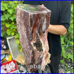 71lb Rare Natural petrified wood rough Wood fossil mineral specimen healing 71lb Rare Natural petrified wood rough Wood fossil mineral specimen healing