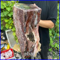 71lb Rare Natural petrified wood rough Wood fossil mineral specimen healing 71lb Rare Natural petrified wood rough Wood fossil mineral specimen healing