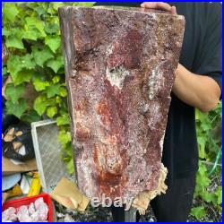 71lb Rare Natural petrified wood rough Wood fossil mineral specimen healing 71lb Rare Natural petrified wood rough Wood fossil mineral specimen healing