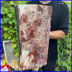 71lb Rare Natural petrified wood rough Wood fossil mineral specimen healing 71lb Rare Natural petrified wood rough Wood fossil mineral specimen healing