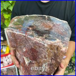 71lb Rare Natural petrified wood rough Wood fossil mineral specimen healing 71lb Rare Natural petrified wood rough Wood fossil mineral specimen healing