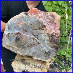 71lb Rare Natural petrified wood rough Wood fossil mineral specimen healing 71lb Rare Natural petrified wood rough Wood fossil mineral specimen healing