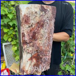 71lb Rare Natural petrified wood rough Wood fossil mineral specimen healing 71lb Rare Natural petrified wood rough Wood fossil mineral specimen healing