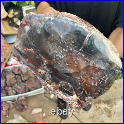 71lb Rare Natural petrified wood rough Wood fossil mineral specimen healing 71lb Rare Natural petrified wood rough Wood fossil mineral specimen healing