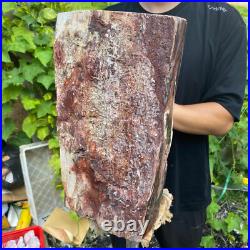 71lb Rare Natural petrified wood rough Wood fossil mineral specimen healing 71lb Rare Natural petrified wood rough Wood fossil mineral specimen healing