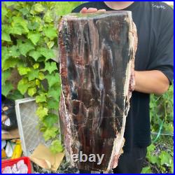 71lb Rare Natural petrified wood rough Wood fossil mineral specimen healing 71lb Rare Natural petrified wood rough Wood fossil mineral specimen healing