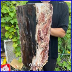 71lb Rare Natural petrified wood rough Wood fossil mineral specimen healing 71lb Rare Natural petrified wood rough Wood fossil mineral specimen healing