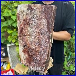 71lb Rare Natural petrified wood rough Wood fossil mineral specimen healing 71lb Rare Natural petrified wood rough Wood fossil mineral specimen healing