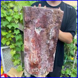 71lb Rare Natural petrified wood rough Wood fossil mineral specimen healing 71lb Rare Natural petrified wood rough Wood fossil mineral specimen healing