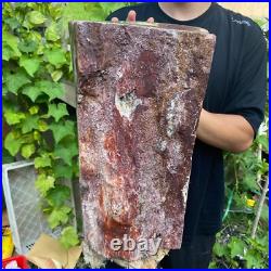 71lb Rare Natural petrified wood rough Wood fossil mineral specimen healing 71lb Rare Natural petrified wood rough Wood fossil mineral specimen healing