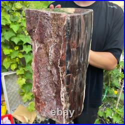 71lb Rare Natural petrified wood rough Wood fossil mineral specimen healing 71lb Rare Natural petrified wood rough Wood fossil mineral specimen healing