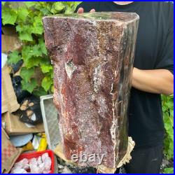 71lb Rare Natural petrified wood rough Wood fossil mineral specimen healing 71lb Rare Natural petrified wood rough Wood fossil mineral specimen healing