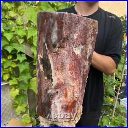 71lb Rare Natural petrified wood rough Wood fossil mineral specimen healing 71lb Rare Natural petrified wood rough Wood fossil mineral specimen healing