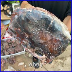 71lb Rare Natural petrified wood rough Wood fossil mineral specimen healing 71lb Rare Natural petrified wood rough Wood fossil mineral specimen healing