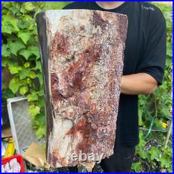 71lb Rare Natural petrified wood rough Wood fossil mineral specimen healing 71lb Rare Natural petrified wood rough Wood fossil mineral specimen healing