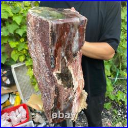 71lb Rare Natural petrified wood rough Wood fossil mineral specimen healing 71lb Rare Natural petrified wood rough Wood fossil mineral specimen healing