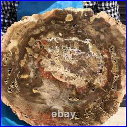 7250G Natural Petrified Wood Fossil Crystal Polished Slice Madagascar 33