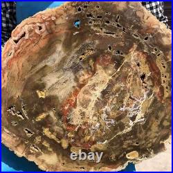 7250G Natural Petrified Wood Fossil Crystal Polished Slice Madagascar 33