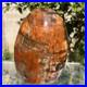 743g_Natural_Fossil_Petrified_Wood_Polished_Freeform_Crystal_Mineral_Healing_01_sllz
