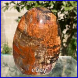 743g Natural Fossil Petrified Wood Polished Freeform Crystal Mineral Healing 743g Natural Fossil Petrified Wood Polished Freeform Crystal Mineral Healing