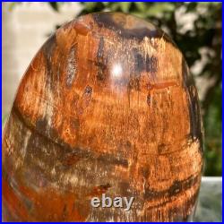 743g Natural Fossil Petrified Wood Polished Freeform Crystal Mineral Healing 743g Natural Fossil Petrified Wood Polished Freeform Crystal Mineral Healing
