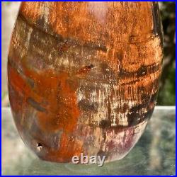 743g Natural Fossil Petrified Wood Polished Freeform Crystal Mineral Healing 743g Natural Fossil Petrified Wood Polished Freeform Crystal Mineral Healing