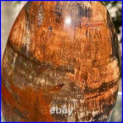 743g Natural Fossil Petrified Wood Polished Freeform Crystal Mineral Healing 743g Natural Fossil Petrified Wood Polished Freeform Crystal Mineral Healing
