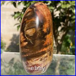 743g Natural Fossil Petrified Wood Polished Freeform Crystal Mineral Healing 743g Natural Fossil Petrified Wood Polished Freeform Crystal Mineral Healing