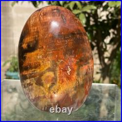 743g Natural Fossil Petrified Wood Polished Freeform Crystal Mineral Healing 743g Natural Fossil Petrified Wood Polished Freeform Crystal Mineral Healing