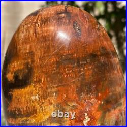 743g Natural Fossil Petrified Wood Polished Freeform Crystal Mineral Healing 743g Natural Fossil Petrified Wood Polished Freeform Crystal Mineral Healing
